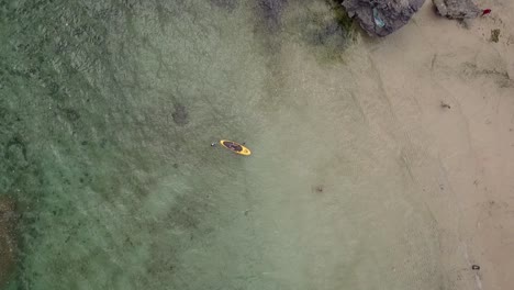 aerial overhead shot of person learning stand up on turquoise water beach, padang padang beach in bali