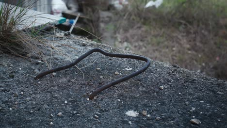 Bent-rebar-in-concrete-rubble,-Zagreb,-Croatia