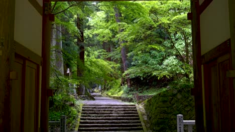 Acercamiento-Al-Templo-Daiyuzan-Cerca-De-Tokio