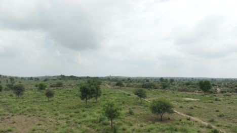 Tharparkar,-Sindh:-Timelapse-Aéreo-Sobre-Un-Paisaje-Verde