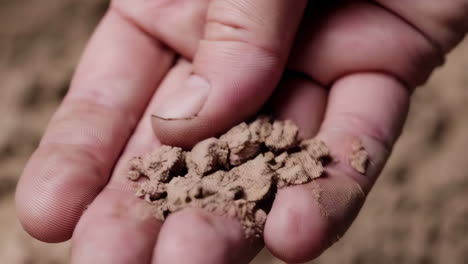 Hands Examining Dry Soil