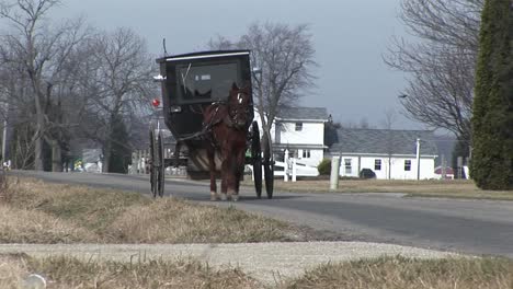 an amish carriage shares the country roads with automobiles