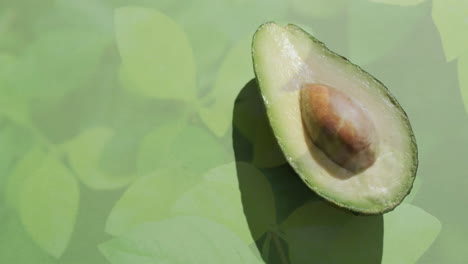 composition of halved avocado over green leaves background