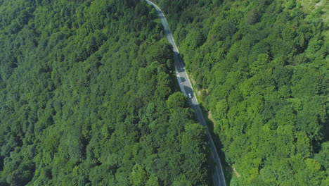 Weiße-Limousine,-Die-Auf-Der-Autobahn-Zwischen-Bäumen-Im-Grünen-Wald-Fährt