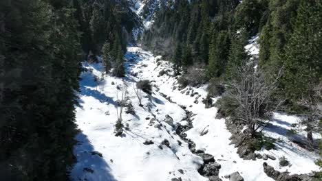 Waldfälle,-Schneebedeckter-Wald,-Mittag,-Südkalifornien,-San-Gorgonio-Gebirge,-60 fps