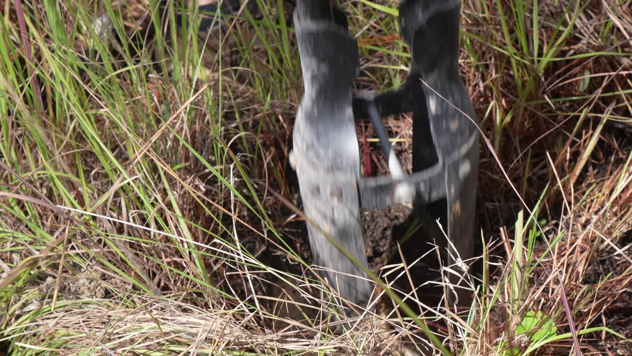 cerca de la herramienta para plantar árboles en el bosque