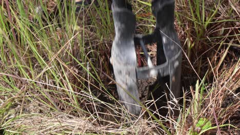 close up of tool for planting trees in the forest