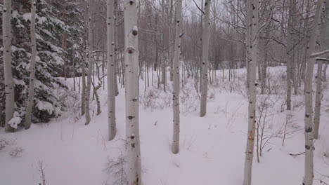 Schneit-Verschneiter-Winter-Espenwald-Schneemassen-Pitkin-County-Wildnis-Luftdrohne-Rocky-Mountains-Colorado-Basalt-Carbondale-Sopris-Maroon-Bells-Ashcroft-Independence-Pass-Rückwärts-Zeitlupe