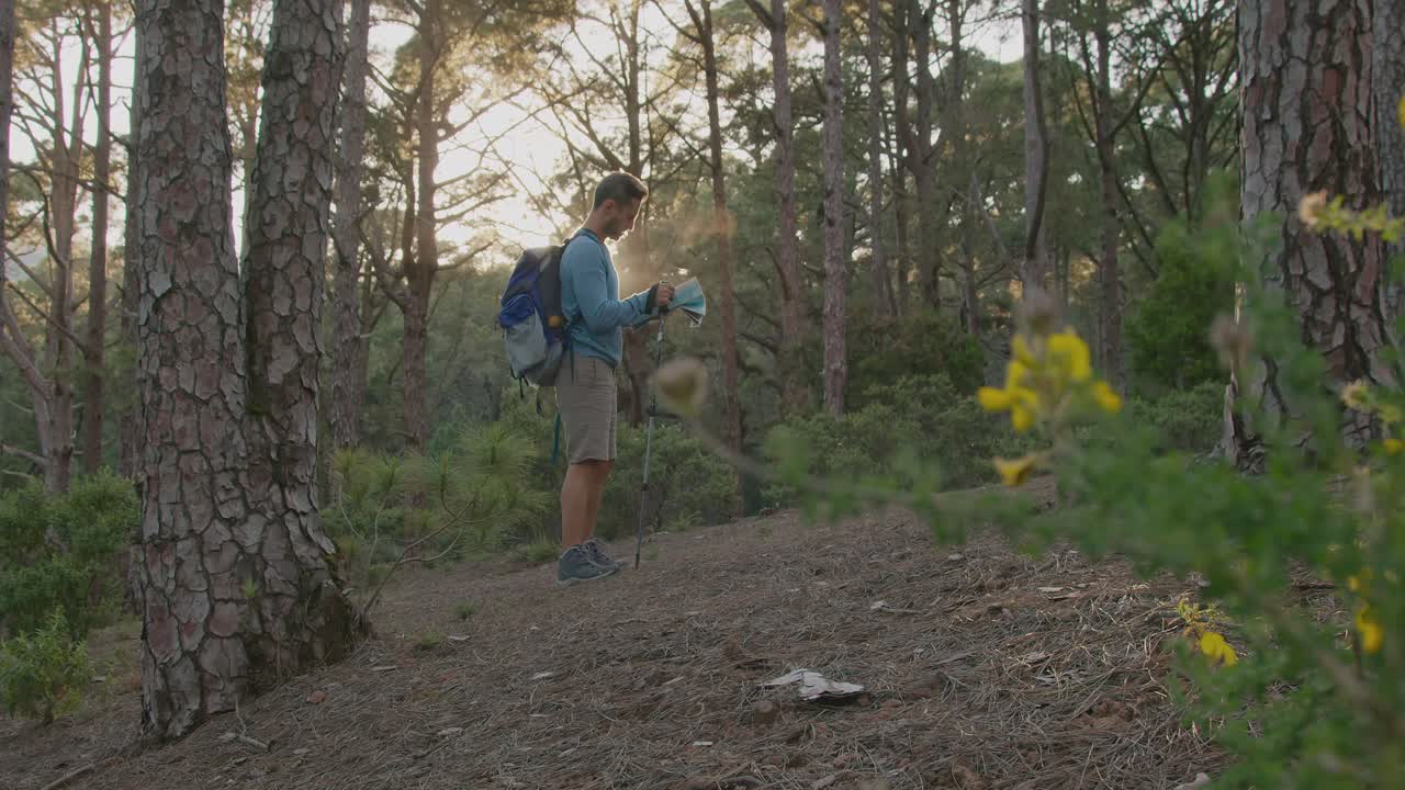 Un escursionista maschio che cammina nella foresta