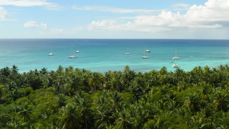 Veleros-De-Lujo-Anclados-Frente-A-La-Costa-En-Aguas-Azules-Tropicales,-Saona,-República-Dominicana,-Antena