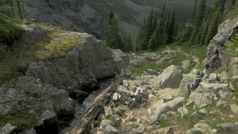 A-Handheld-Shot-Of-A-Small-Mountain-Stream-Near-Lake-Ohara-Hiking-Trail