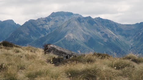 gentle breeze causes grass to sway, distant majestic mountains in the background