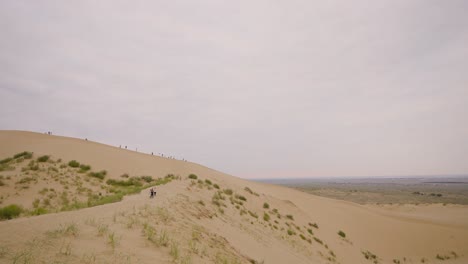 people hiking on sand dunes