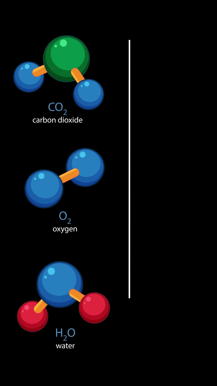 Animated molecular models of carbon dioxide, oxygen, and water separate into labeled atomic components