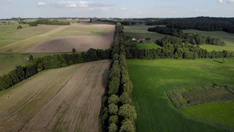 Flying-over-trees-that-grow-along-the-road,-quickly-rising-from-a-low-level-and-even-flight-over-the-treetops,-Aerail-shot-by-drone