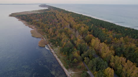 Perspectiva-Aérea-De-Una-Costa-Curva-Con-Densos-Bosques-Otoñales-Y-Mar-Tranquilo---Kuźnica,-Polonia