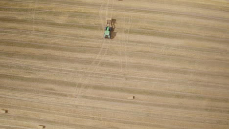 harvesting ripe grain in a large field - aerial top down