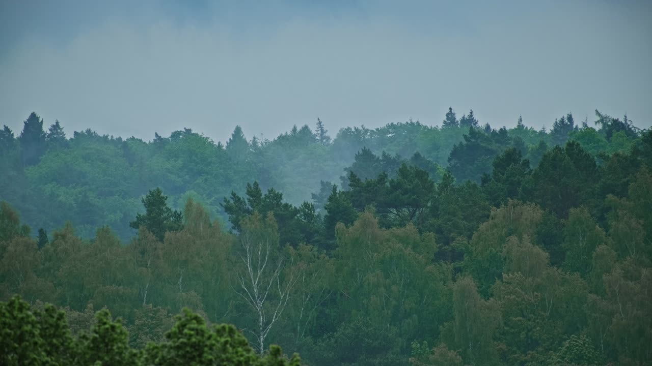 Rain Clouds and Fog Floating over Green Forest Hills in Poland Timelapse
