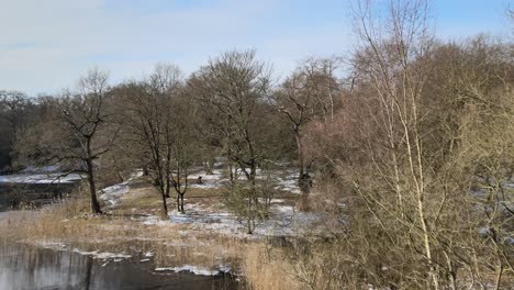 Epping-Forest-Drone-über-Zugefrorenen-See-Aufstieg-über-Bäume-Winter