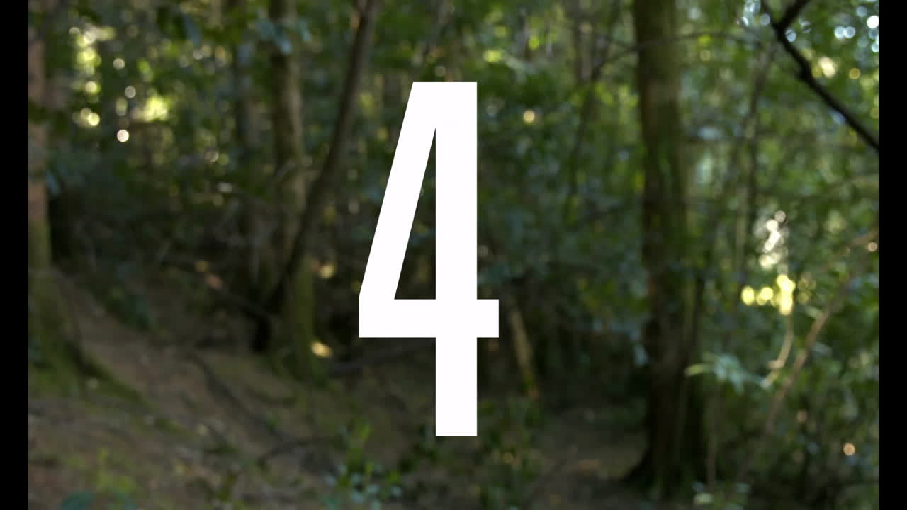 Animation of large white number five over lush green forest background