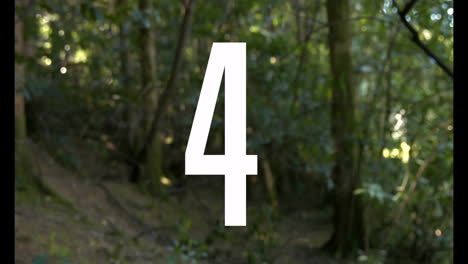 animation of large white number five over lush green forest background