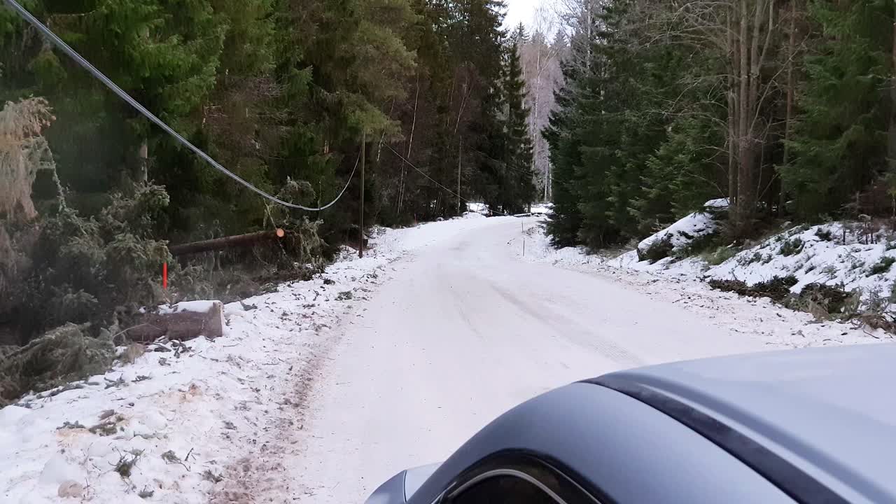 fuerte tormenta invernal azota europa causando problemas, viento soplando, árboles cayendo, clima invernal mortal azotó europa