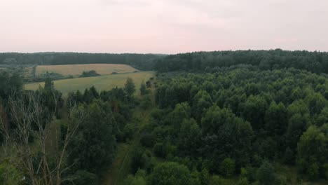 view of forest and field in kolbudy, kaszubia, pomorskie, poland