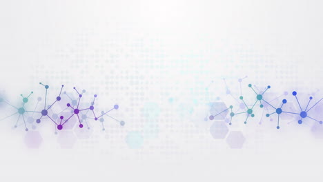 abstract futuristic white background with colored molecular mesh. looped motion graphics with hexagons. copy space.