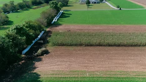 amish farmers harvesting there fall crops as seen by drone