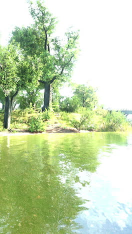 a picturesque view of a lake with green trees and a clear blue sky