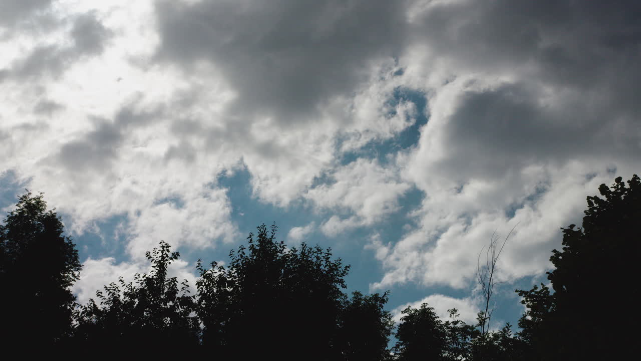 Wide shot of clouds moving calmly over some tree tops on a bright sunny day