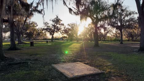 Beautiful-sunset-beaming-through-Spanish-Moss-and-large-Oak-Trees