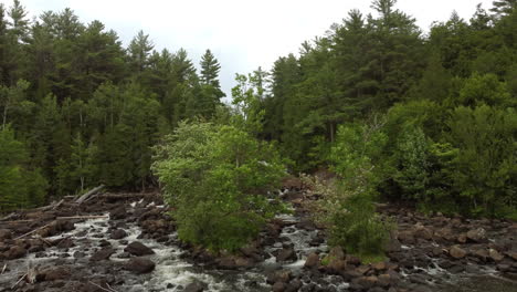 aerial dolly in shot water flowing calmly down creek and revealing waterfall in the background