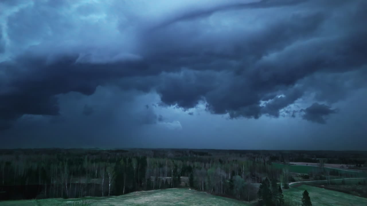 Dark forest beneath dramatic clouds in a deep blue atmospheric light, evoking a moody scene.