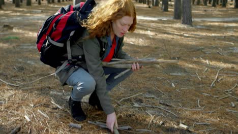 woman collecting wooden sticks in the forest 4k