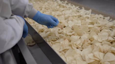 Close-up-shot-workers-remove-burnt-potato-pieces-on-a-conveyor