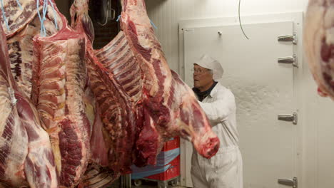 man moving meat carcasses on meat hooks in a large cooling cell