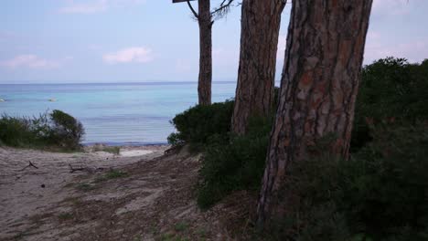 Blick-Auf-Den-Karidi-Strand-In-Der-Nähe-Von-Pinien-Mit-Kristallklarem-Meer-In-Sithonia-Chalkidiki,-Griechenland