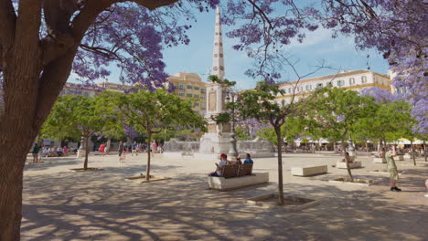 wide shot of plaza de merced moving forward under blooming purple trees