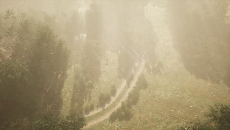 Camino-De-Tierra-A-Través-Del-Bosque-Caducifolio-En-La-Niebla