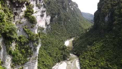 beautiful aerial scenic view over high cliff to fox river in new zealand native forest