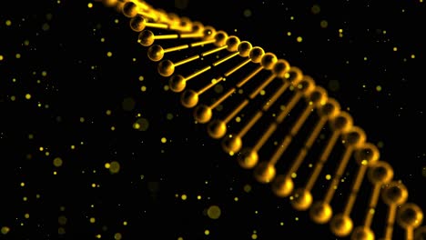 animación 3d de hebras de adn de color dorado retorcidas giratorias con partículas flotantes sobre fondo negro