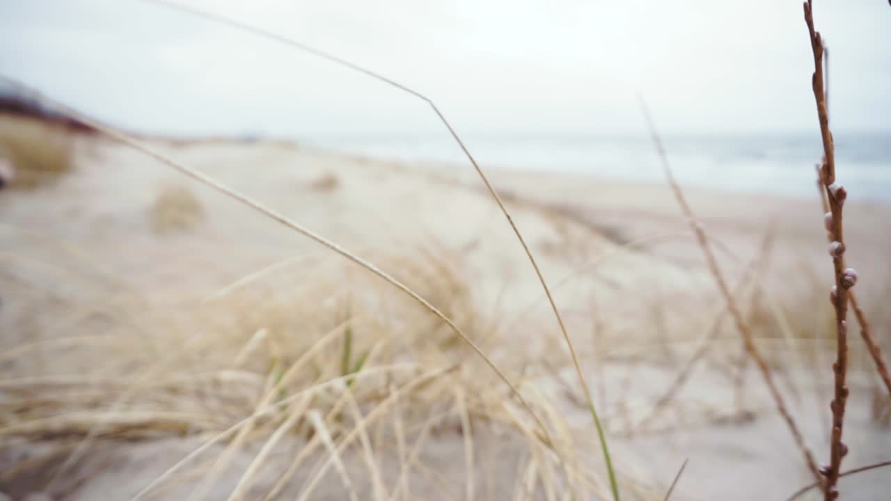 검은 운동복을 입은 청년이 해변에서 뛰고 있다