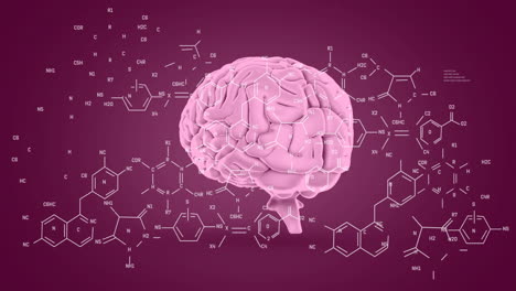 animation of data processing and chemical formula over brain