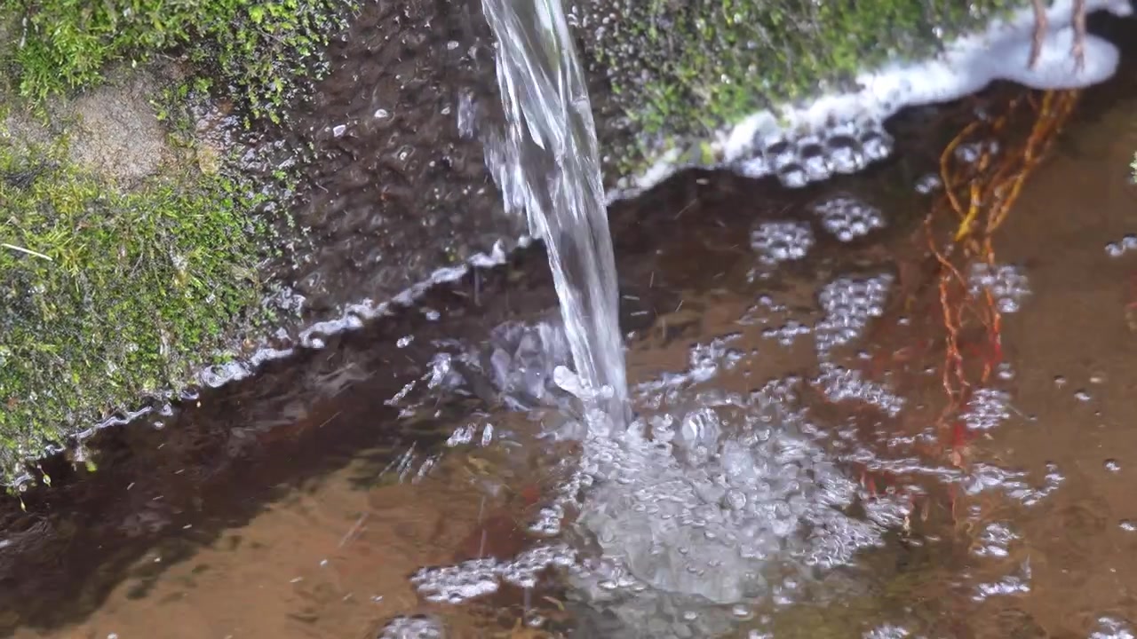 A água flui de um cano coberto de musgo para um pequeno lago na floresta, cercado por uma vegetação florestal tranquila.