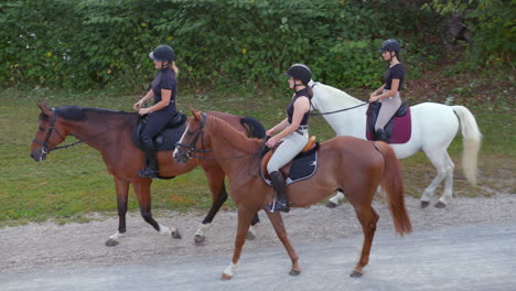 tres jinetes disfrutan montando caballos en la naturaleza, junto al río, tiro ancho