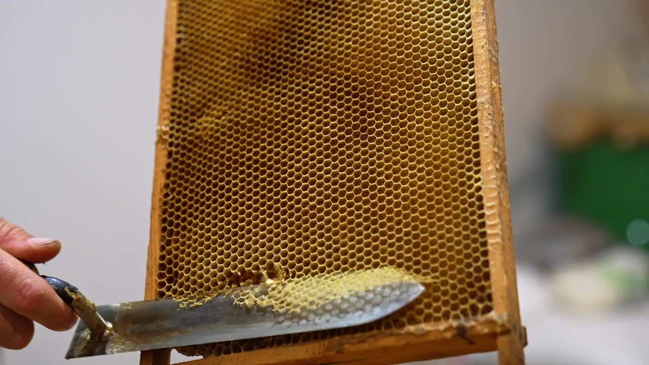 Brown honeycombs on the wooden frames in the hands of unrecognized man. Beekeeper uses knife to cut the combs. Close up.