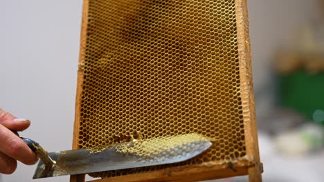 brown honeycombs on the wooden frames in the hands of unrecognized man. beekeeper uses knife to cut the combs. close up.