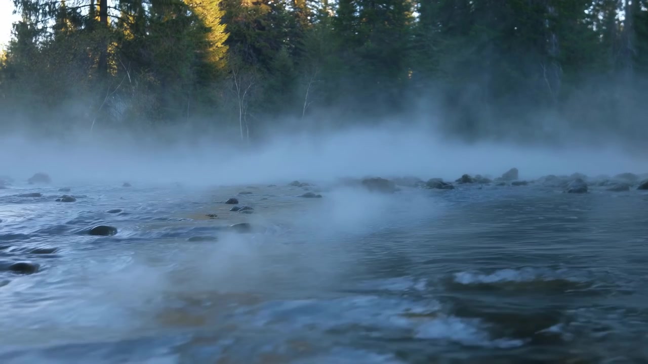 Vista baja de una escena de río rocoso con agua poco profunda fluyendo, piedras mojadas, densos árboles de hoja perenne, niebla a la deriva, luz solar suave, tonos azules fríos, profundidad de bosque en capas, atmósfera de naturaleza salvaje tranquila