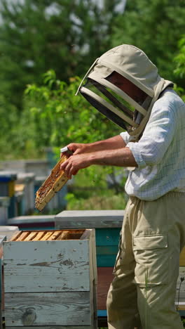 apiculturist in protective hat looks trough the honey frames. adult man working at his apiary on sunny summer day. nature backdrop. vertical video